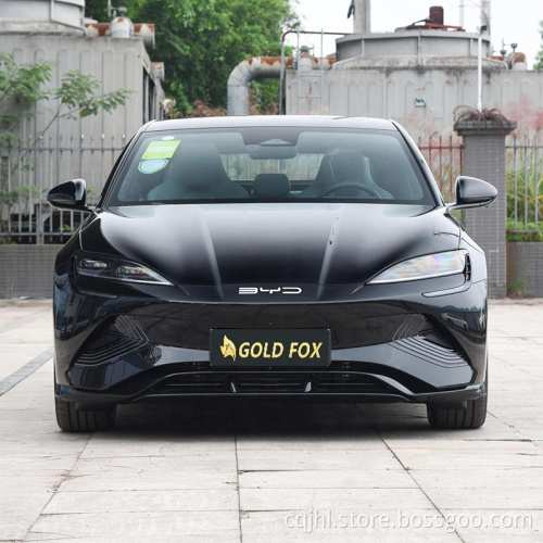 BYD di resistenza standard 2022 Serie di guarnizioni a quattro ruote motrici Versione veicolo elettrico 650 km Auto elettrica
